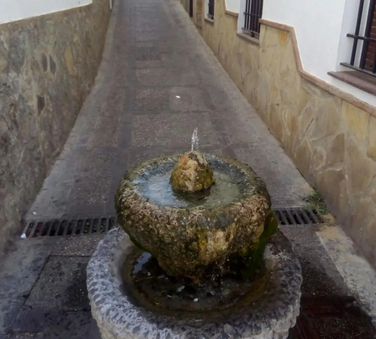 Dom wakacyjny Casa Rural Majaceite El Bosque